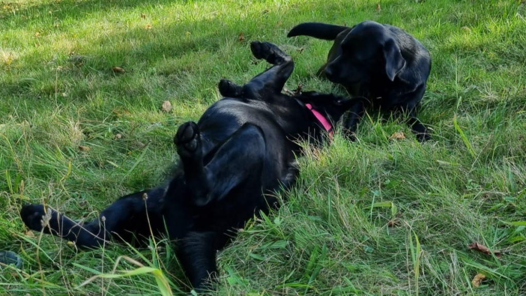 Emma und Lucy