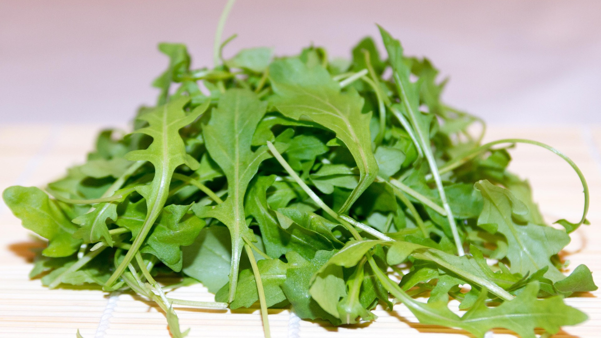 Rucola