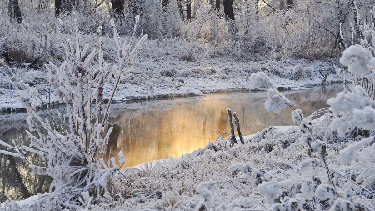 Schneebild